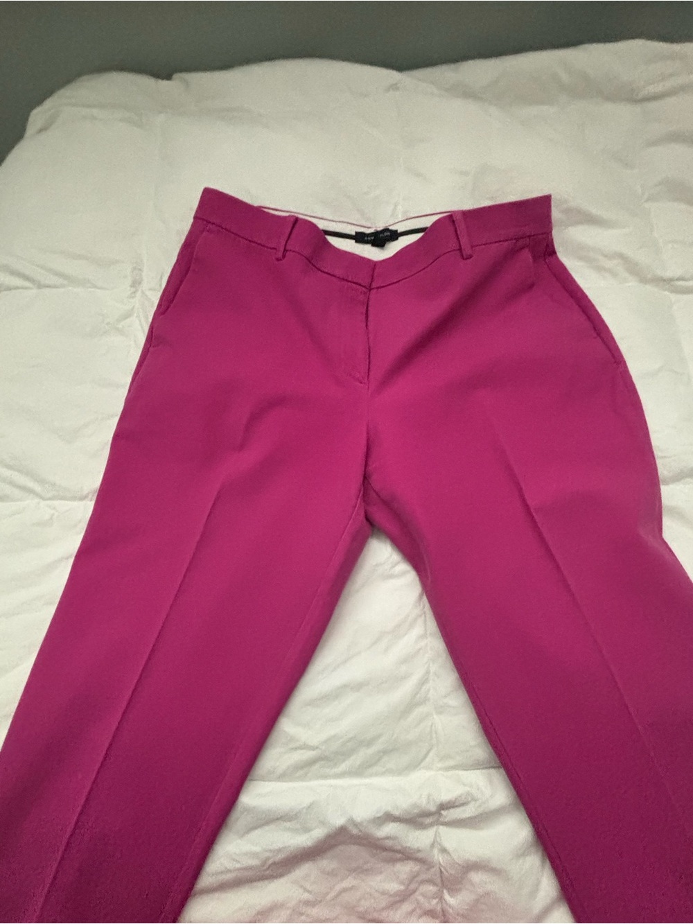 Ann Taylor Fuchsia Straight-Leg Dress Trousers